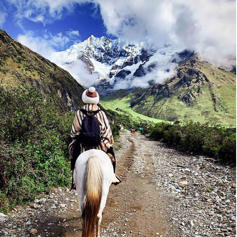 Fauna andina en el camino