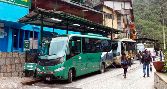 Camino rodeado de vegetación subtropical