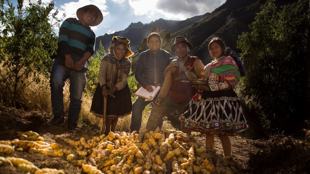Carretera afirmada a la base