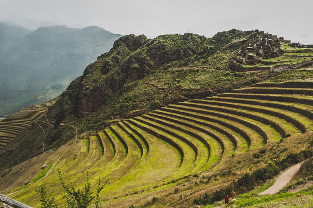Andenes de Pisac en la ladera