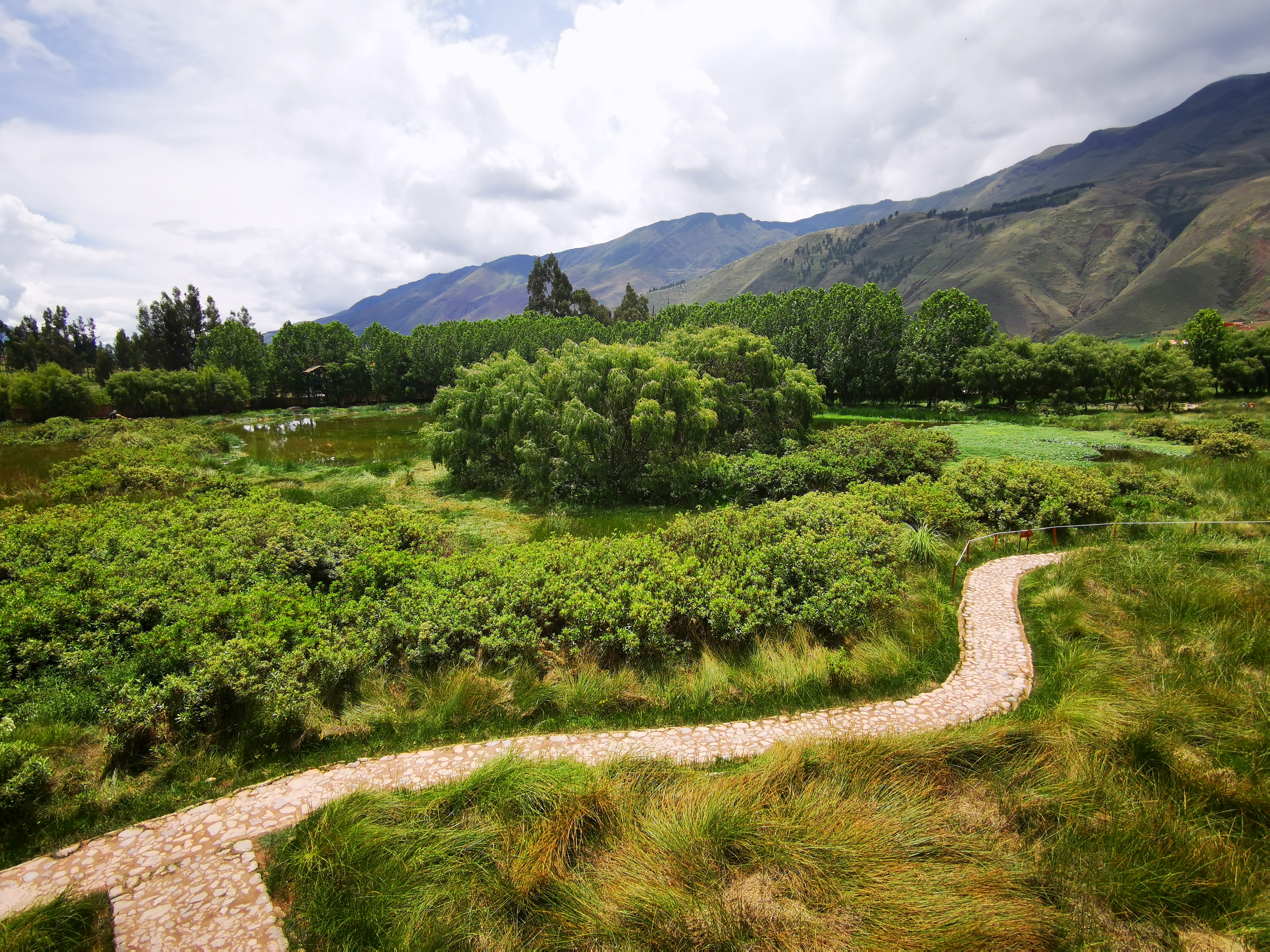 Sendero junto a humedal