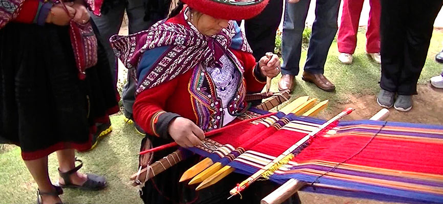 Teñido natural con cochinilla y plantas